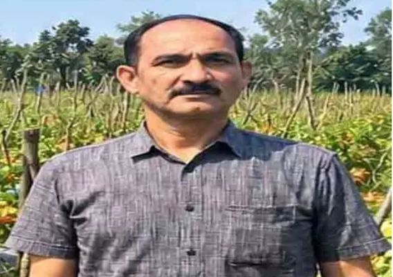 उन्नत टमाटर की खेती से शाहिद की मेहनत लाई रंग, 2 एकड़ में कमाए 1.20 लाख रुपए