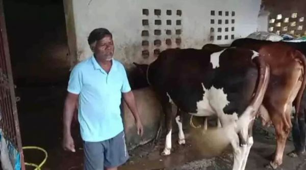 सेवा की कहानी: एक गाय से शुरू हुआ सफर, आज 10 पशुओं का समृद्ध पशुधन